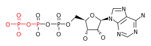 RP00003_C00002