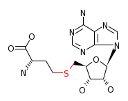 RP00004_C00021