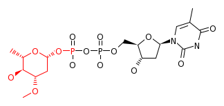 RP00027_C11921