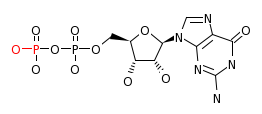 RP00031_C00035