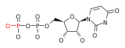 RP00047_C00015