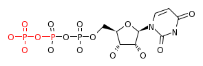 RP00047_C00075