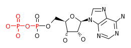 RP00056_C00008
