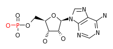 RP00056_C00020