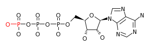 RP00220_C00002