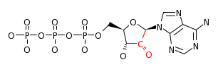 RP01910_C00002