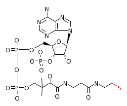 RP10632_C00010