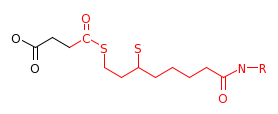RP10932_C16254