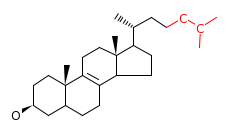 RP11469_C03845