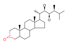RP12005_C15801