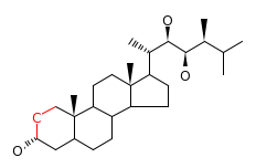 RP12006_C15801