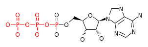RP12346_C00002