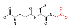 RP12920_C00051