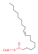 RP12987_C00510