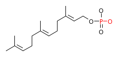RP15475_C20121