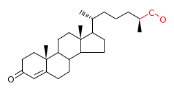 RP17706_C20143
