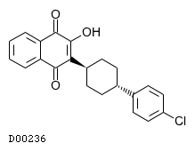 D00236