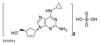 D00891