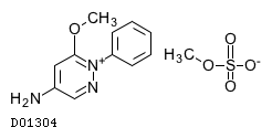 D01304