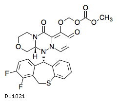 D11021