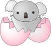 KOALA logo