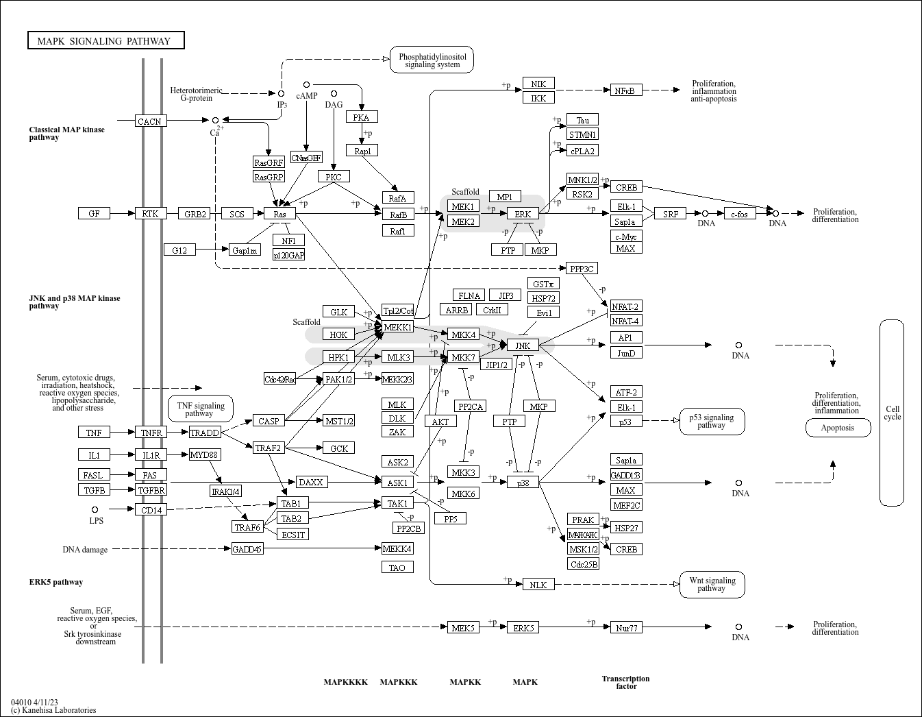 Pathway Search Result