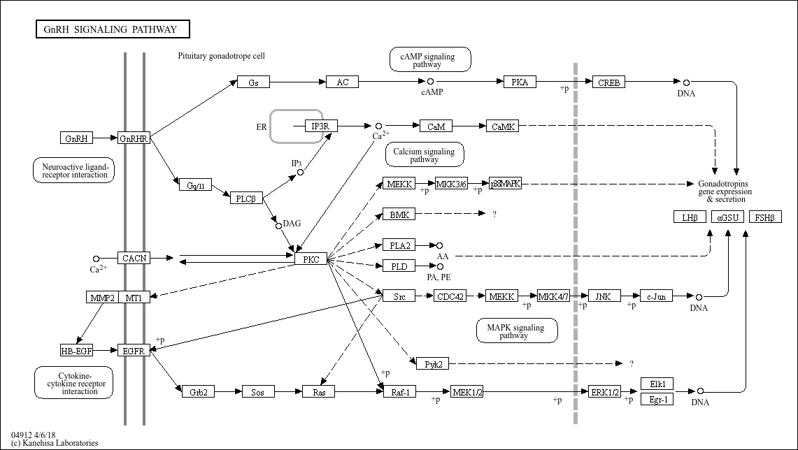Pathway Search Result