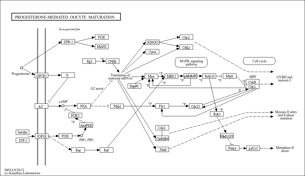 Pathway Search Result