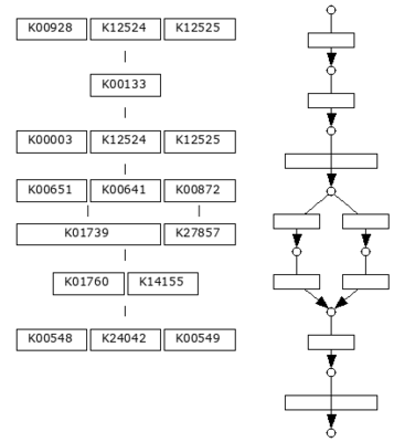 swd_M00017