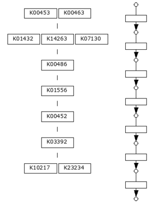 M00038