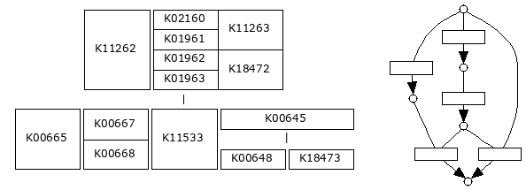 M00082