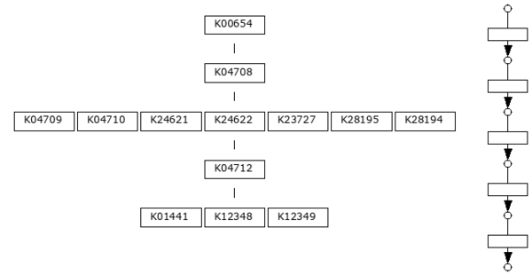 M00099