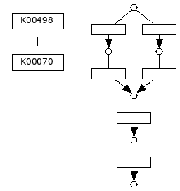 M00107