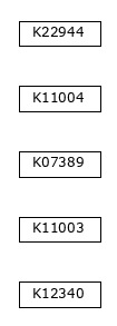 M00575
