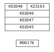 M00616