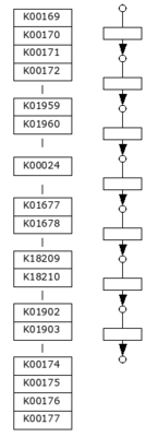 M00620