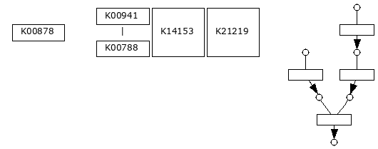 M00899