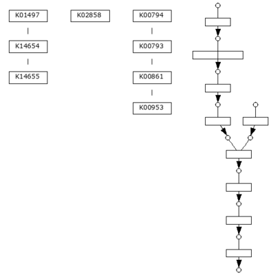 M00911