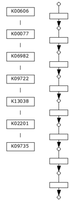 M00914