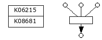 M00916