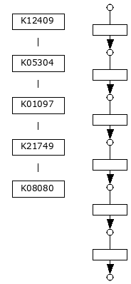 M00955