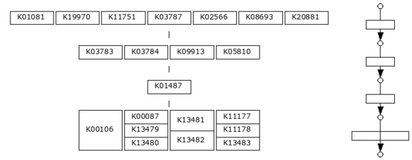 KEGG MODULE: ecoj_M00959