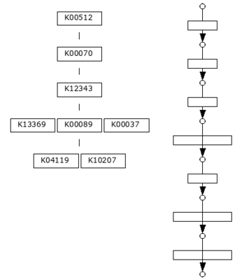 M00977