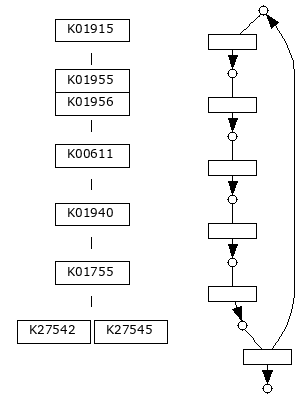 M00978