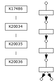 M00990