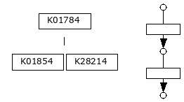 M01004
