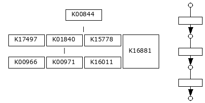 M01015