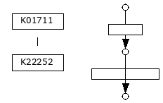 M01019