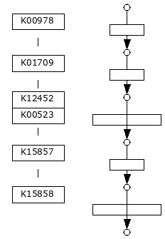 M01031