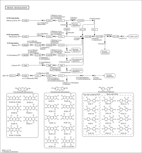 ecoo00621